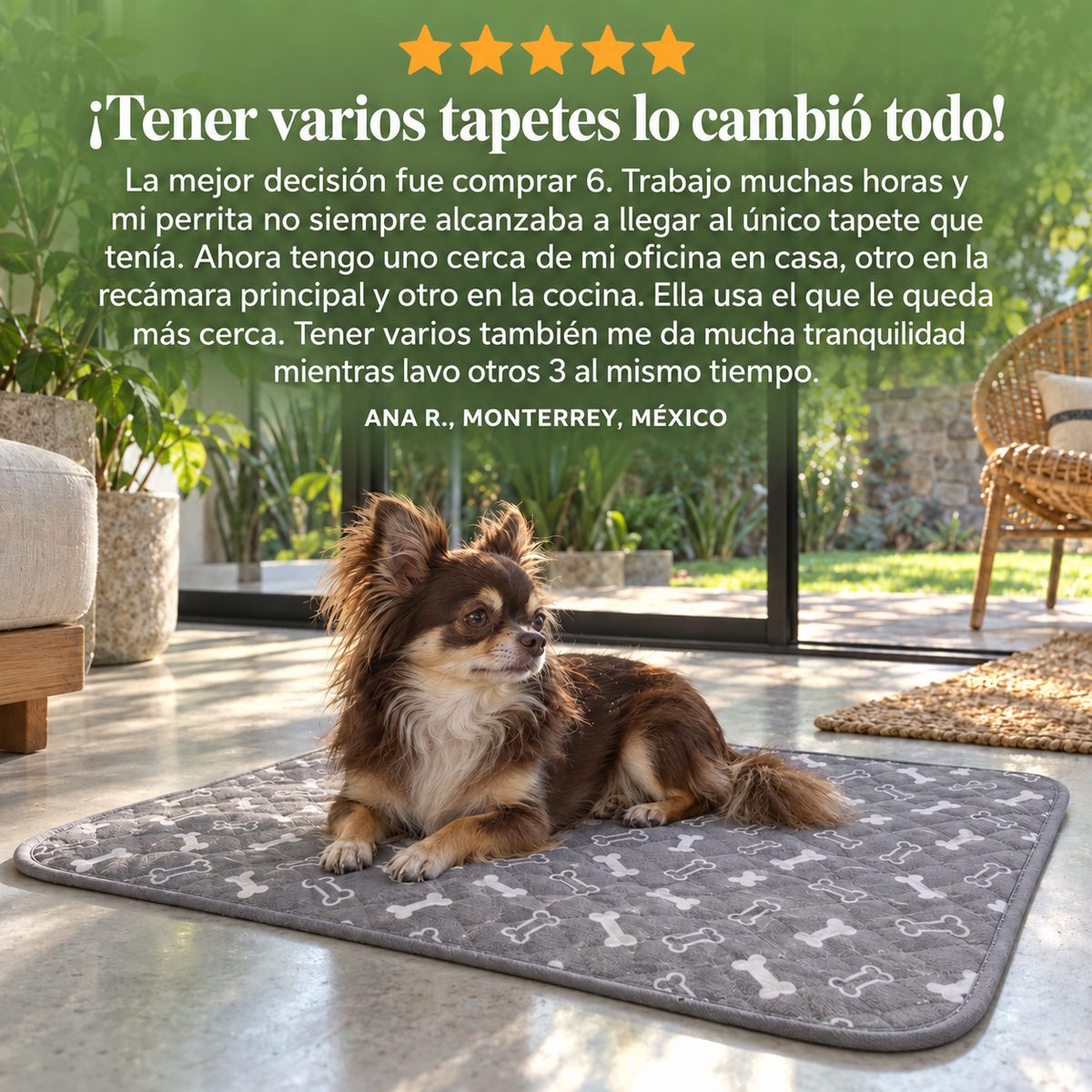 NubiPaw™ Guía su olfato y evita accidentes