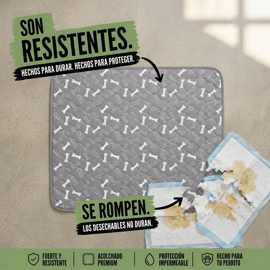 NubiPaw™ Guía su olfato y evita accidentes
